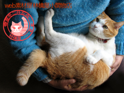 ���g�����L