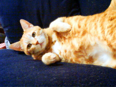 ���g�����L