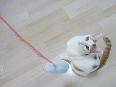 ���g�����L