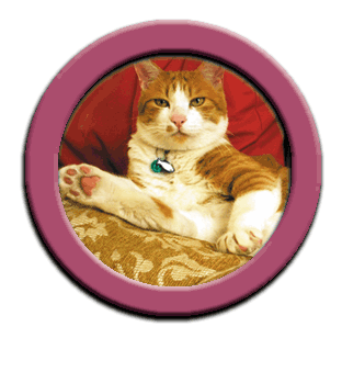 ���g�����L�̂���