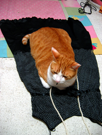 ���g�����L����