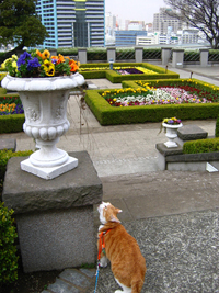 ���g�����L����