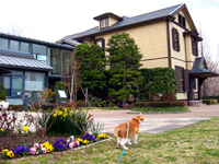 ���g�����L����