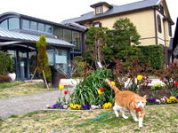 ���g�����L����