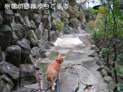 ���g�����L�̂���