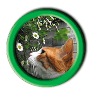 ���U���L��y��