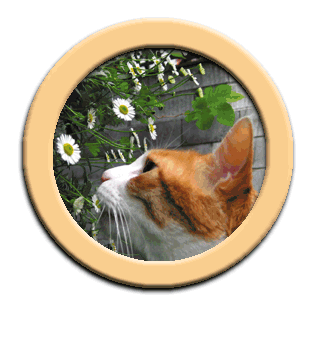 ���g�����L���܂̃v���t�B�[��