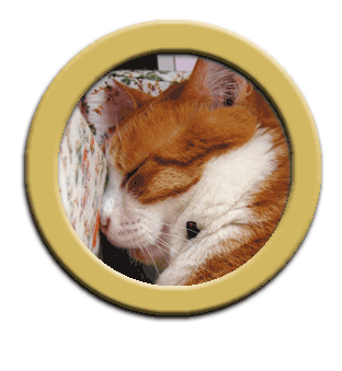 IS FACTORY(��i�W�j