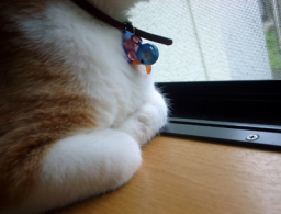 �����Ɓ@���g�����L�̂���