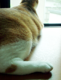 �����Ɓ@���g�����L�̂���