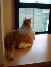 �����Ɓ@���g�����L�̂���