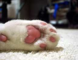 �����Ɓ@���g�����L�̂���