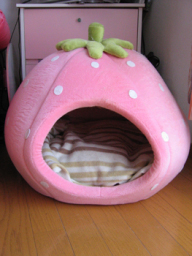 �����Ɓ@���g�����L�̂���