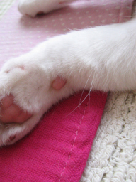 �����Ɓ@���g�����L�̂���