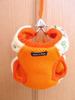 �����Ɓ@���g�����L�̂���