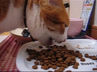 �����Ɓ@���g�����L�̂���