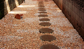 �����Ɓ@���g�����L�̂���