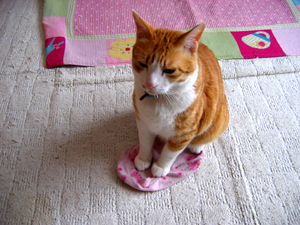 �����Ɓ@���g�����L�̂���