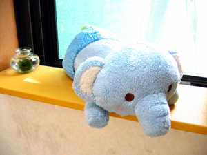 �����Ɓ@���g�����L�̂���