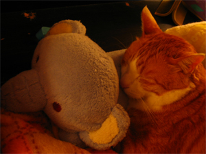 �����Ɓ@���g�����L�̂���