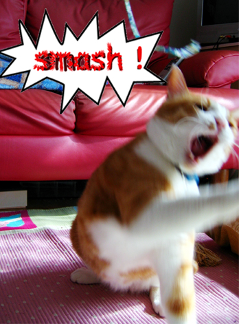 �����Ɓ@���g�����L�̂���