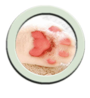 ���g�����L���܁@�k������