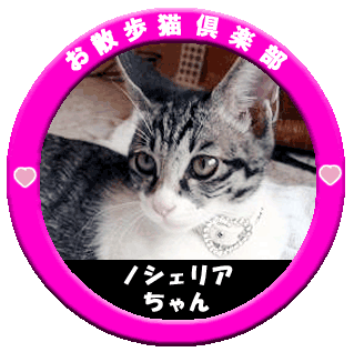 ���U���L�@�m�V�F���A�����