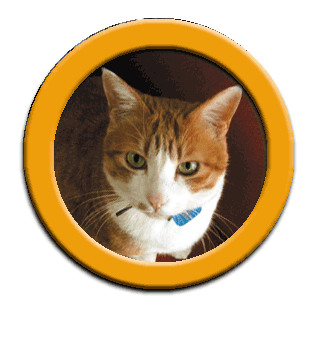 �����ƒ��g�����L�̂��܂����