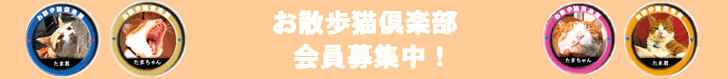 お散歩猫倶楽部 会員募集中