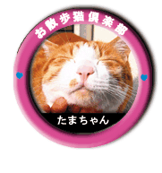 ���U���L��y��