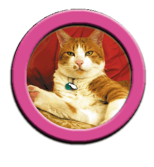 ���g�����L���܎ʐ^�W