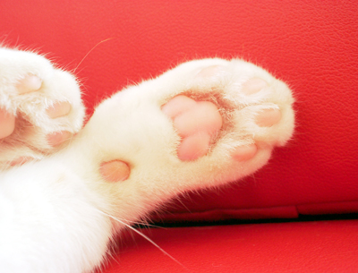 IS FACTORY ���g�����L�E���܂̂��U������