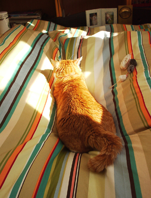 IS FACTORY ���g�����L�E���܂̂��U������