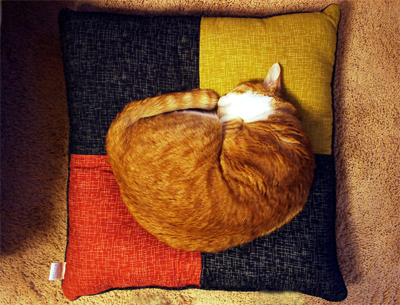 IS FACTORY ���g�����L�E���܂̂��U������