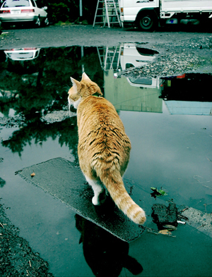 IS FACTORY ���g�����L�E���܂̂��U������