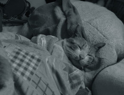 IS FACTORY ���g�����L�E���܂̂��U������