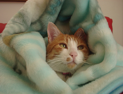 IS FACTORY ���g�����L�E���܂̂��U������