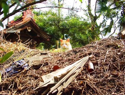 IS FACTORY ���g�����L�E���܂̂��U������