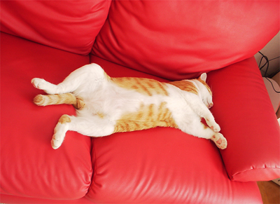 IS FACTORY ���g�����L�E���܂̂��U������