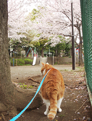 IS FACTORY ���g�����L�E���܂̂��U������