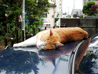 IS FACTORY ���g�����L�E���܂̂��U������