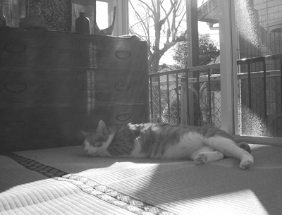 IS FACTORY ���g�����L�E���܂̂��U������