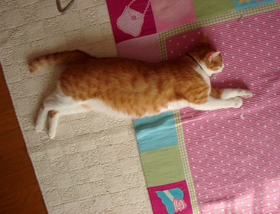 IS FACTORY ���g�����L�E���܂̂��U������