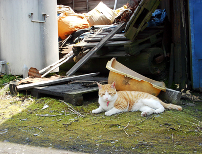 IS FACTORY ���g�����L�E���܂̂��U������