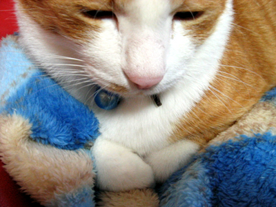 IS FACTORY ���g�����L�E���܂̂��U������