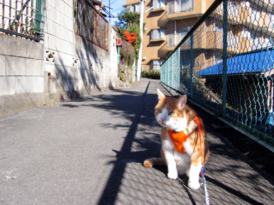 IS FACTORY ���g�����L�E���܂̂��U������