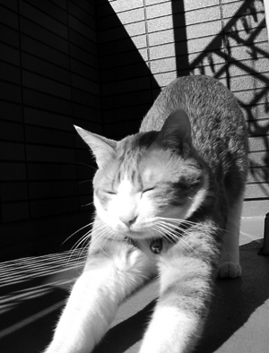 IS FACTORY ���g�����L�E���܂̂��U������