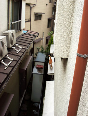 IS FACTORY ���g�����L�E���܂̂��U������