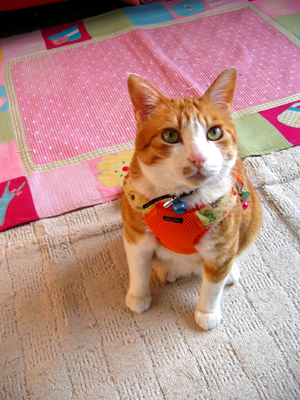 IS FACTORY ���g�����L�E���܂̂��U������