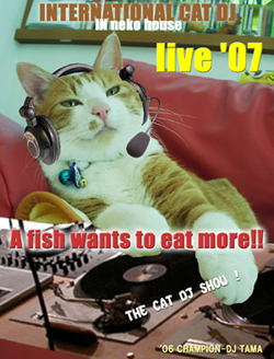 ���g�����L�̂��܂����̃v���t�B�[��